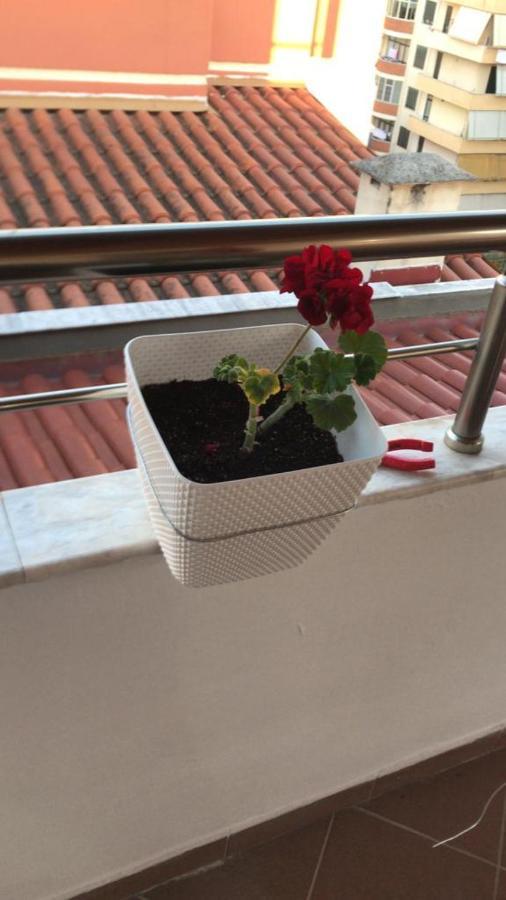Rooftop Apartament Alexandria Vlore Bagian luar foto